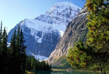 惜败辽宁！卢伟采访谈2伤员，纠结是否冲前八！李弘权表露不甘！.