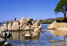 无缘欧冠四分之一决赛，图片报：于帕预计将缺阵周.